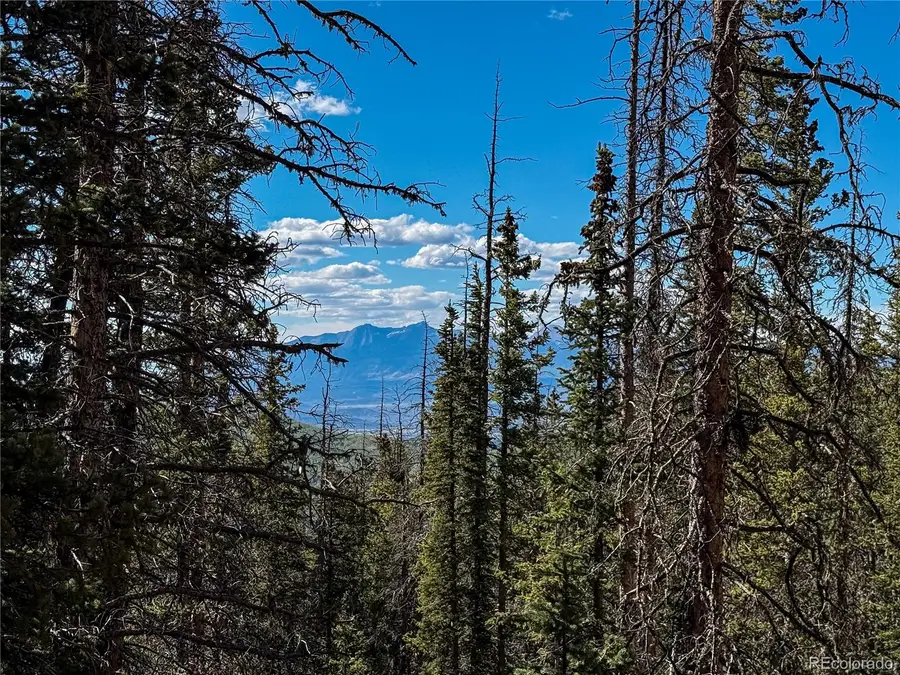 LOT 6530 Schluetter Road, Fort Garland, CO 81133 - #3