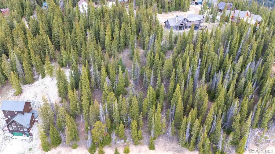 301 Kimmes Lane, Breckenridge, CO 80424 - #3