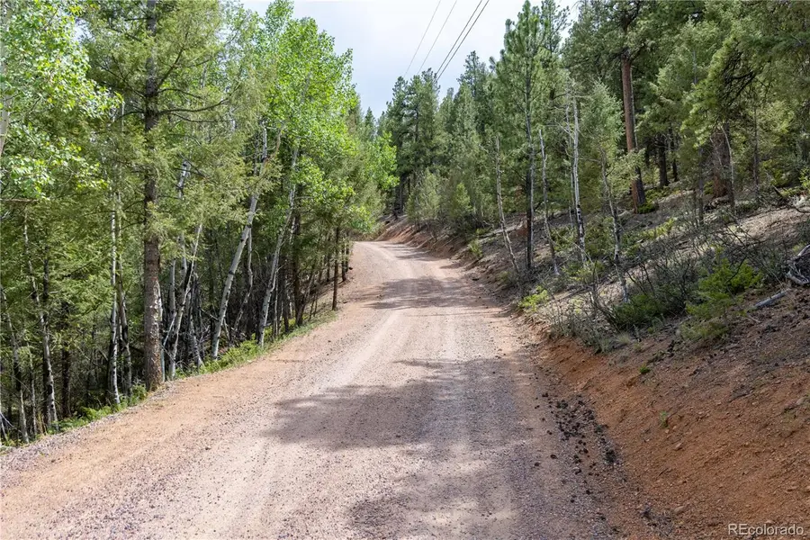 12397 S Cindy Avenue, Pine, CO 80470 - #2