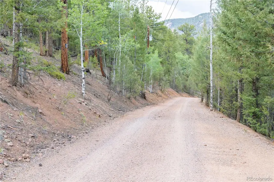 12397 S Cindy Avenue, Pine, CO 80470 - #3