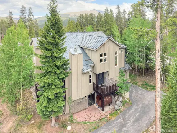 293 Settlers Drive, Breckenridge, CO 80424