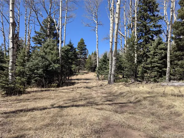 2664 Grojean Drive, Fort Garland, CO 81133