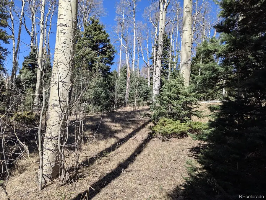 2664 Grojean Drive, Fort Garland, CO 81133 - #2