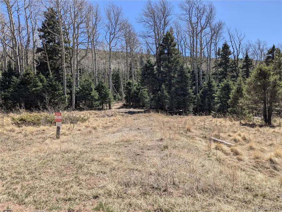 2664 Grojean Drive, Fort Garland, CO 81133 - #3