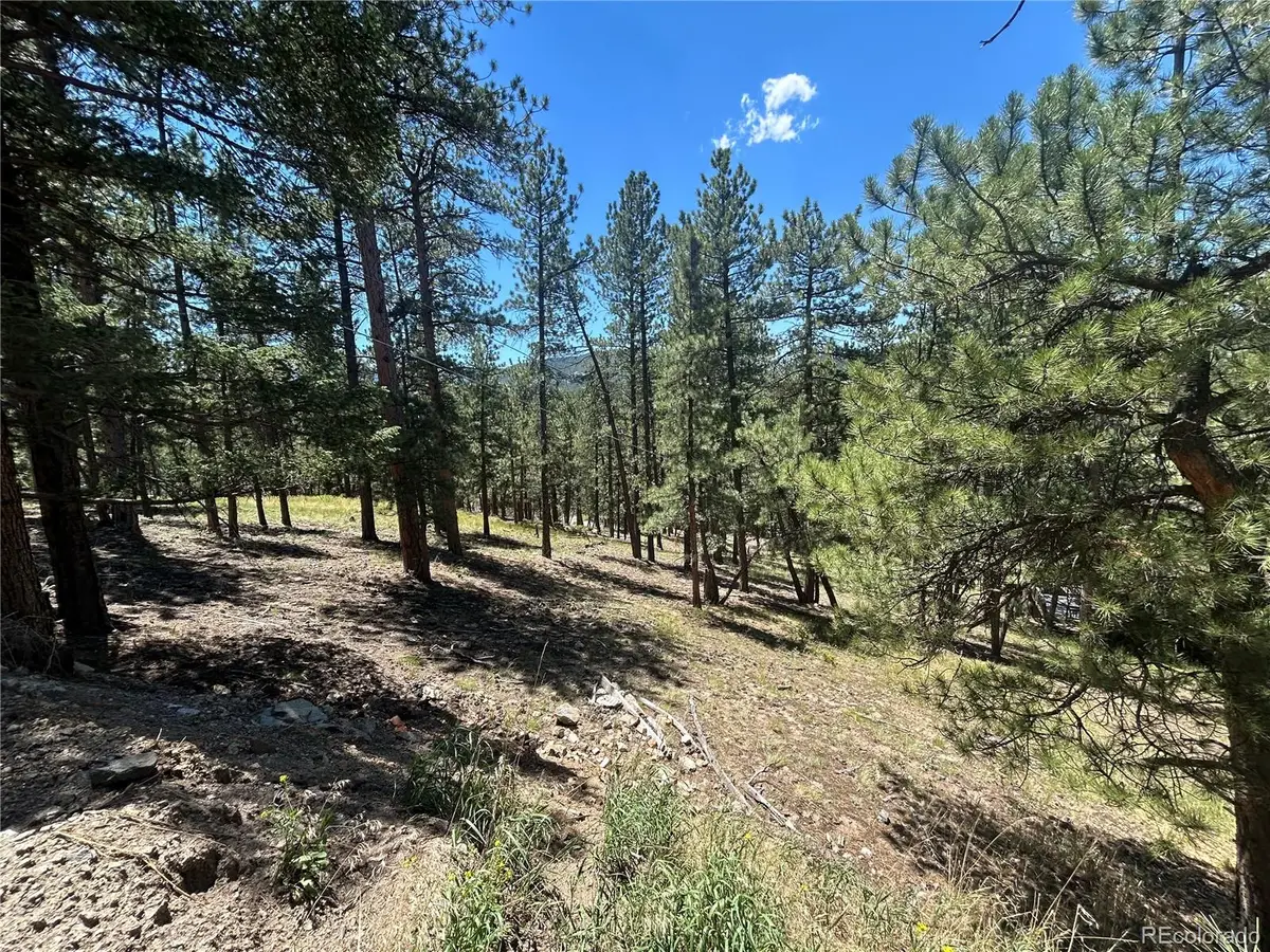 0 Pine Pine, Evergreen, CO 80439 - #1
