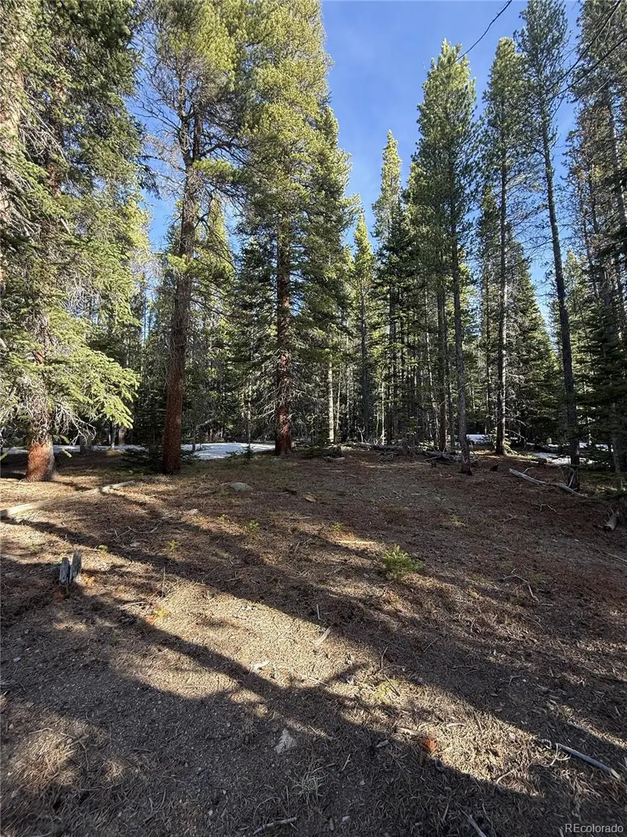 611 Silver Creek Road, Idaho Springs, CO 80452 - #1