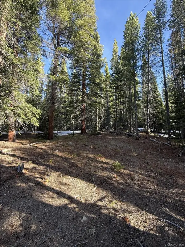 611 Silver Creek Road, Idaho Springs, CO 80452