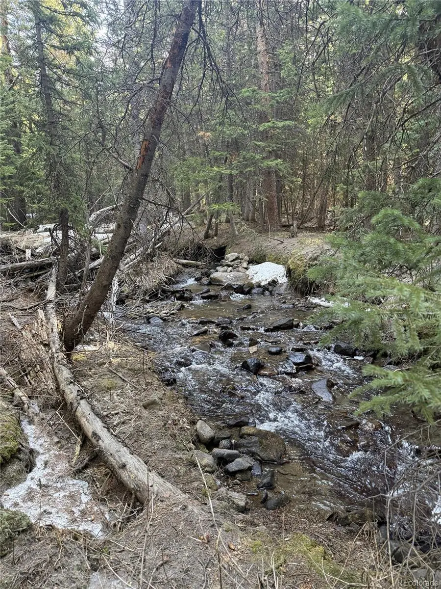 611 Silver Creek Road, Idaho Springs, CO 80452 - #2