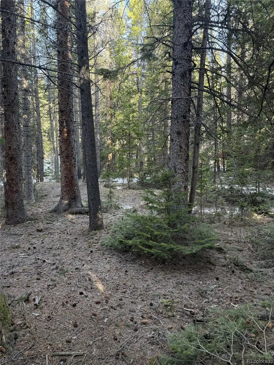 611 Silver Creek Road, Idaho Springs, CO 80452 - #3