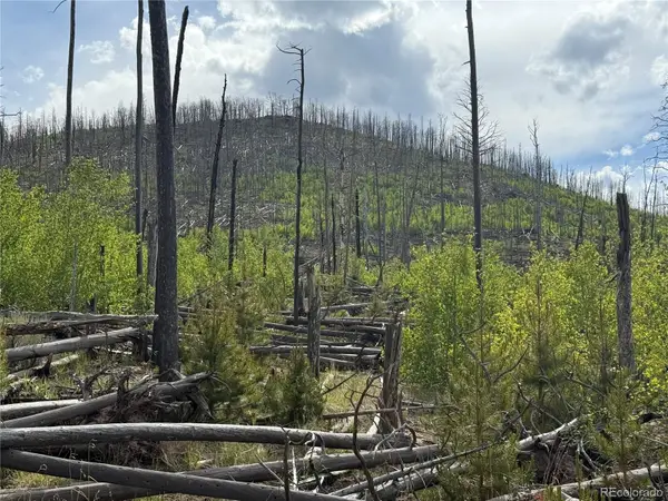 Lot 1996 Strauss Lane, Fort Garland, CO 81133