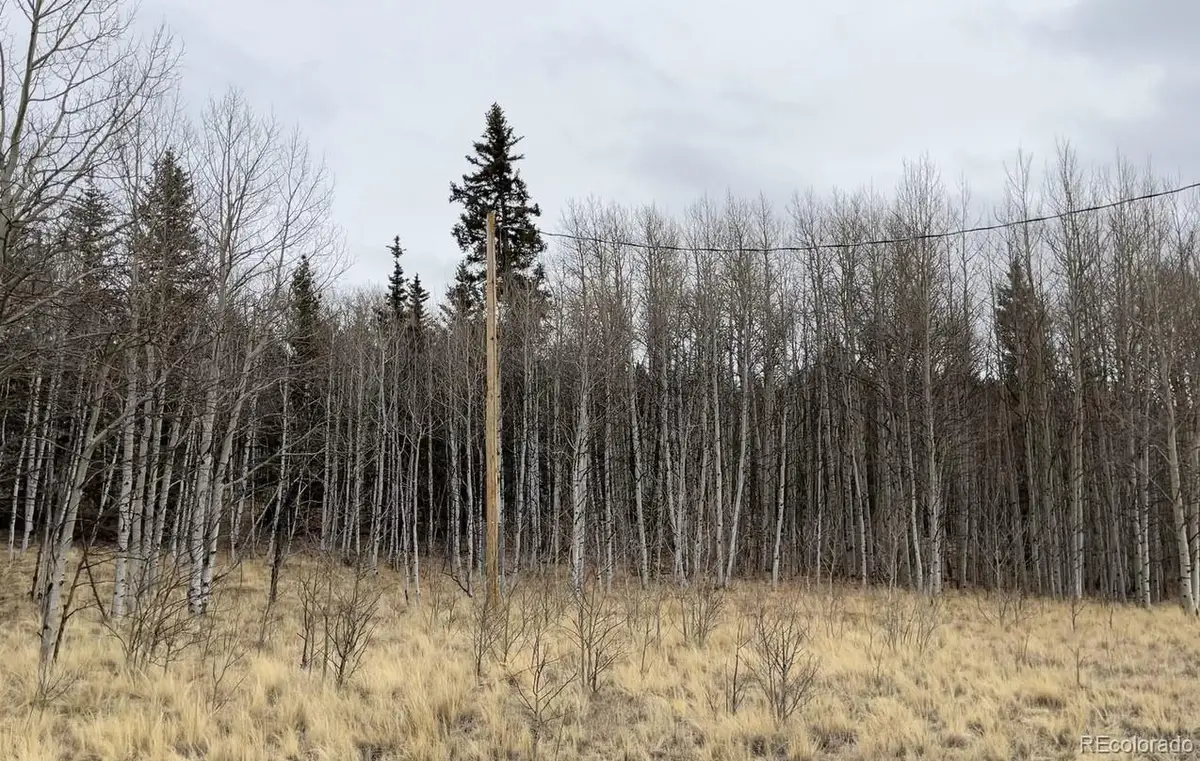 688 Ouray Trail, Como, CO 80432 - #1