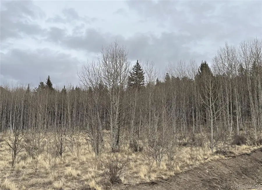 688 Ouray Trail, Como, CO 80432 - #2