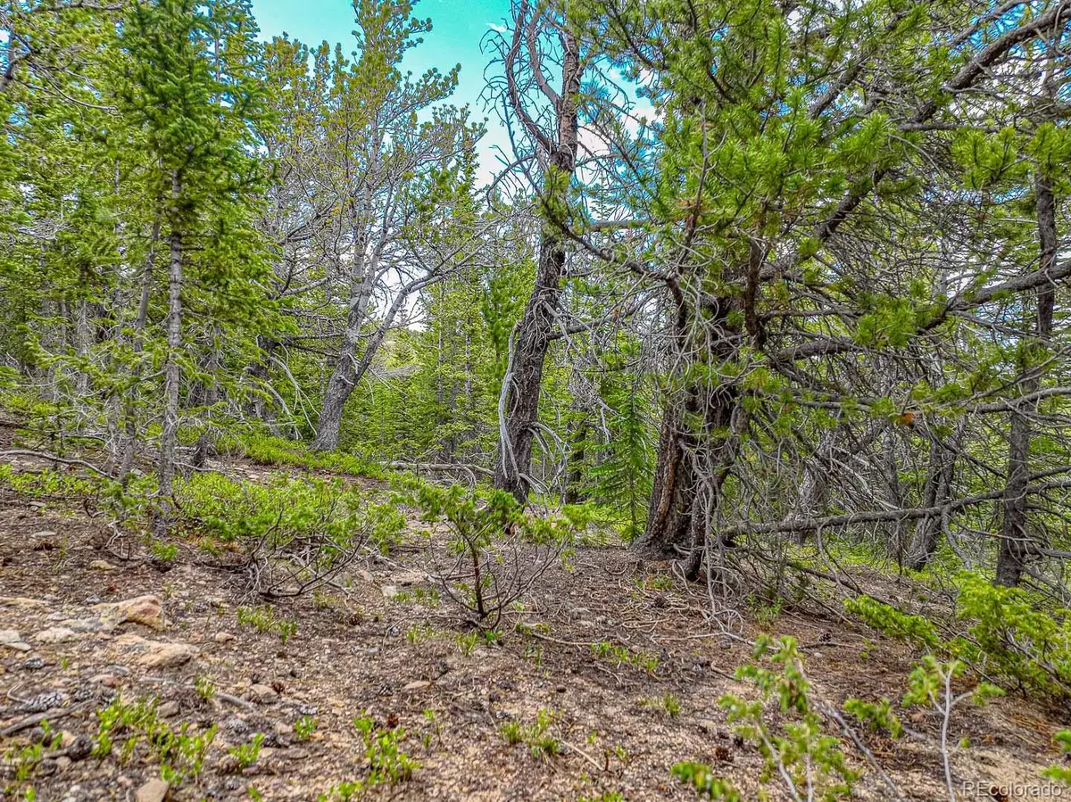 111 Mosquito Creek Road, Black Hawk, CO 80422 - Image #1