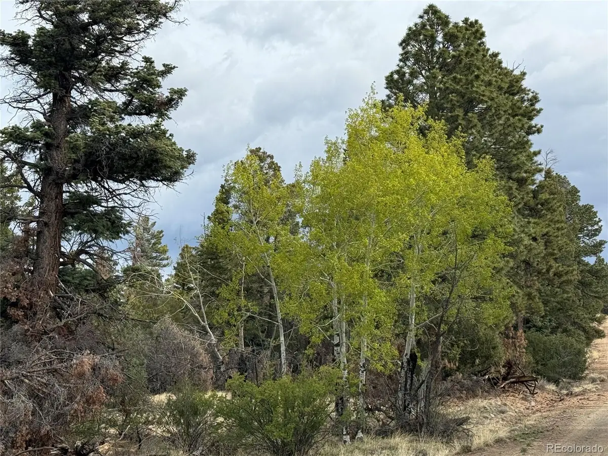 Lot 154 Tahmoush Lane, Fort Garland, CO 81133 - #1