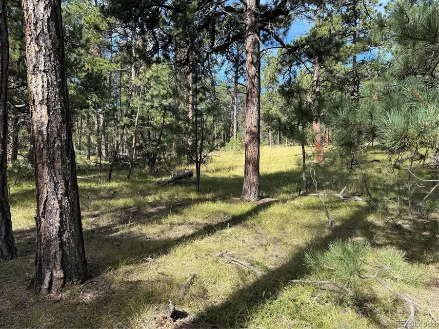 17405 E Goshawk, Colorado Springs, CO 80908 - Image #3