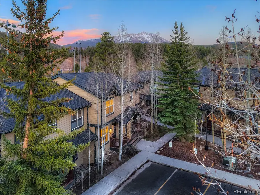 844 Kingdom Park, Breckenridge, CO 80424 - #3