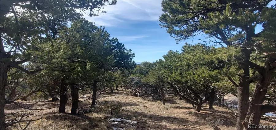 Lot 7274 Barker Road, Fort Garland, CO 81133 - #2