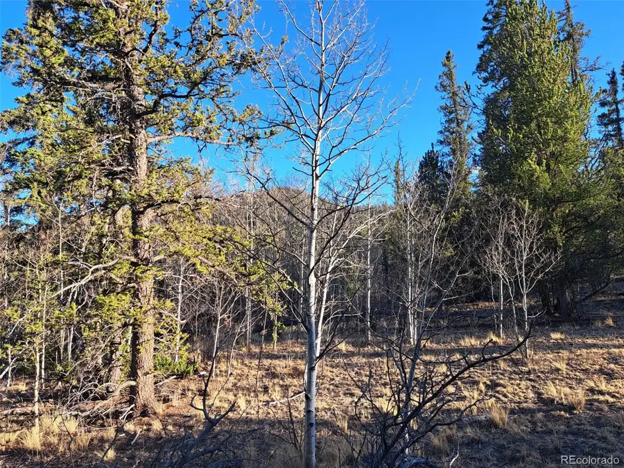 1645 Chippewa Road, Como, CO 80432 - #3