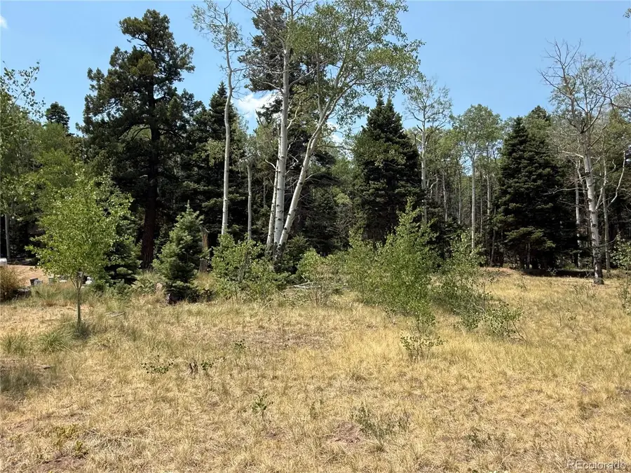 2357 Benton Place, Fort Garland, CO 81133 - #3