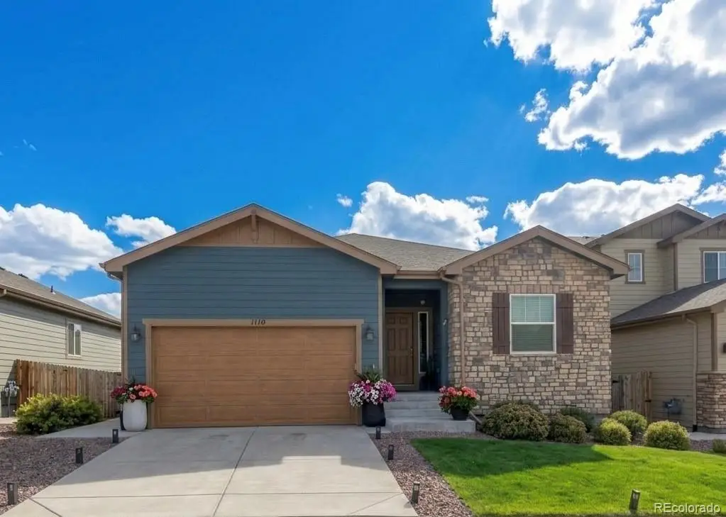 1170 Mcmurdo Circle, Castle Rock, CO 80108 - #1