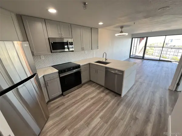 100 Park Avenue W #1405, Denver, CO 80205