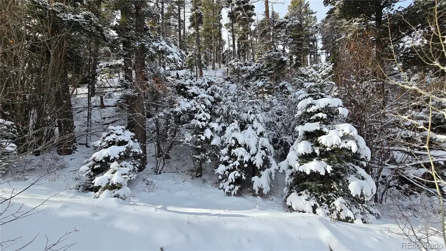 Lot 5540 Joy Road, Fort Garland, CO 81133 - Image #2