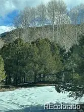 Unit 2 Tract 5 Zapata, Mosca, CO 81146 - #2