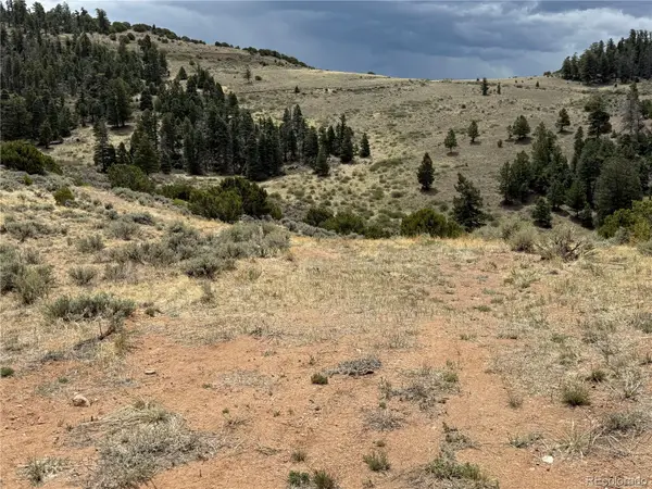 Lot 5428 Balleroy Road, Fort Garland, CO 81133