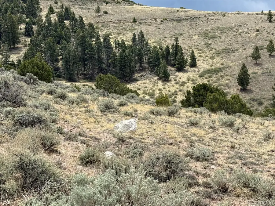 Lot 5428 Balleroy Road, Fort Garland, CO 81133 - #2