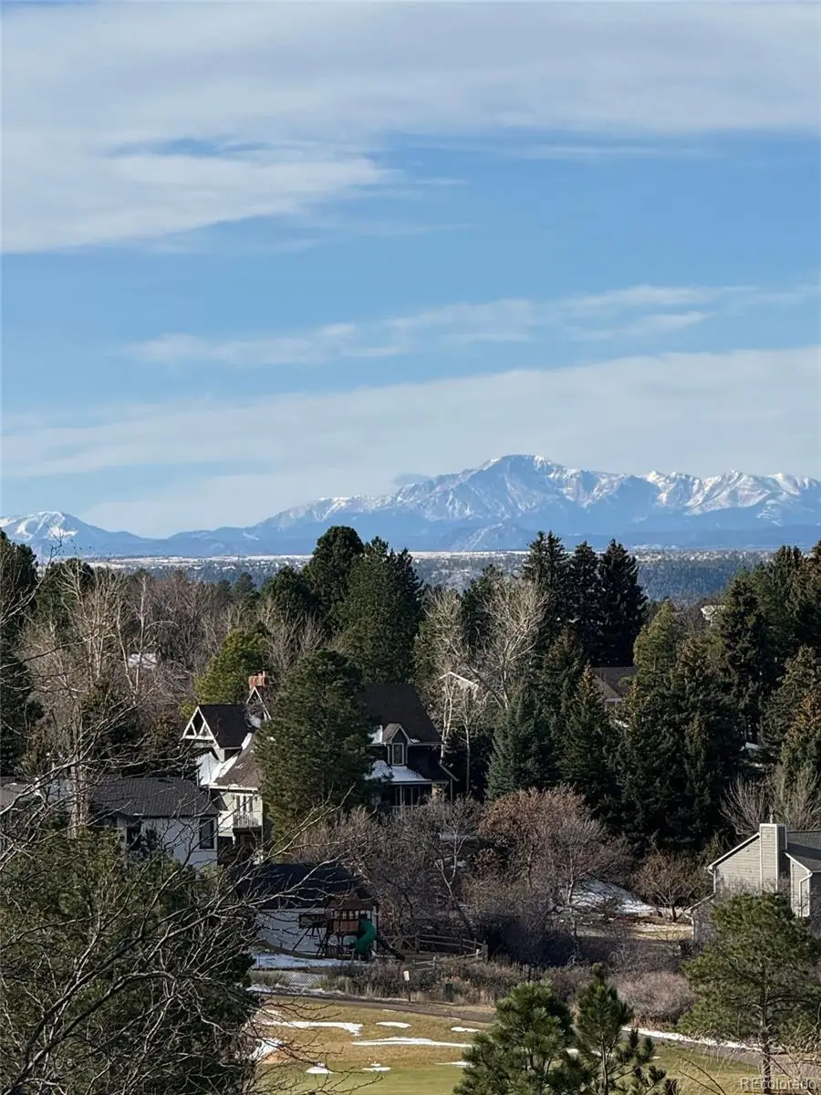 7742 E Windcrest Row, Parker, CO 80134 - #2