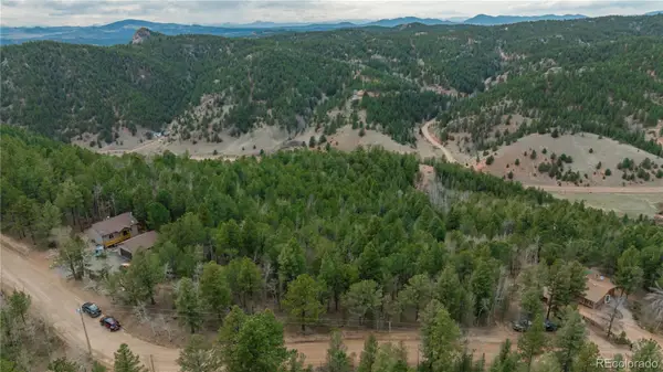881 Timber Ridge Road, Divide, CO 80814