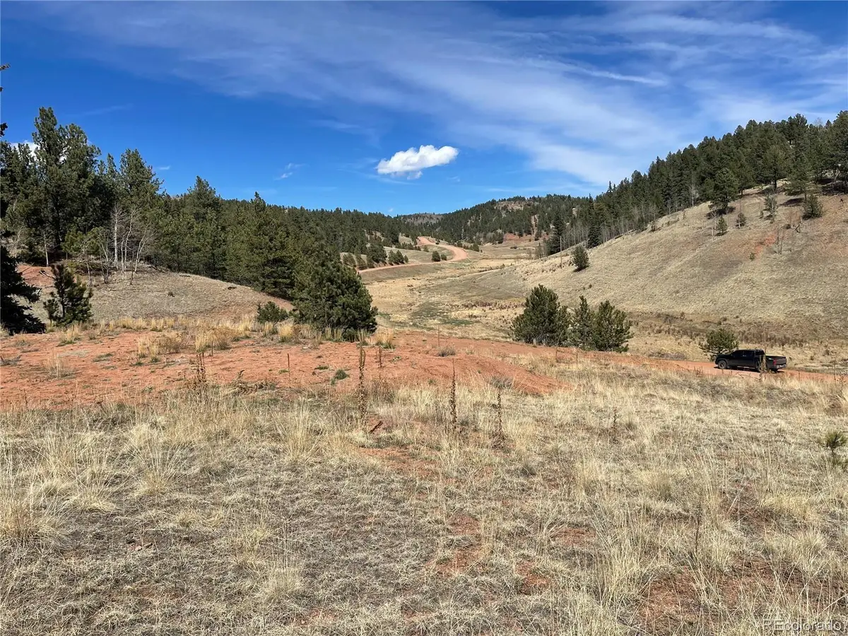 323 Gold King Drive, Cripple Creek, CO 80813 - #1