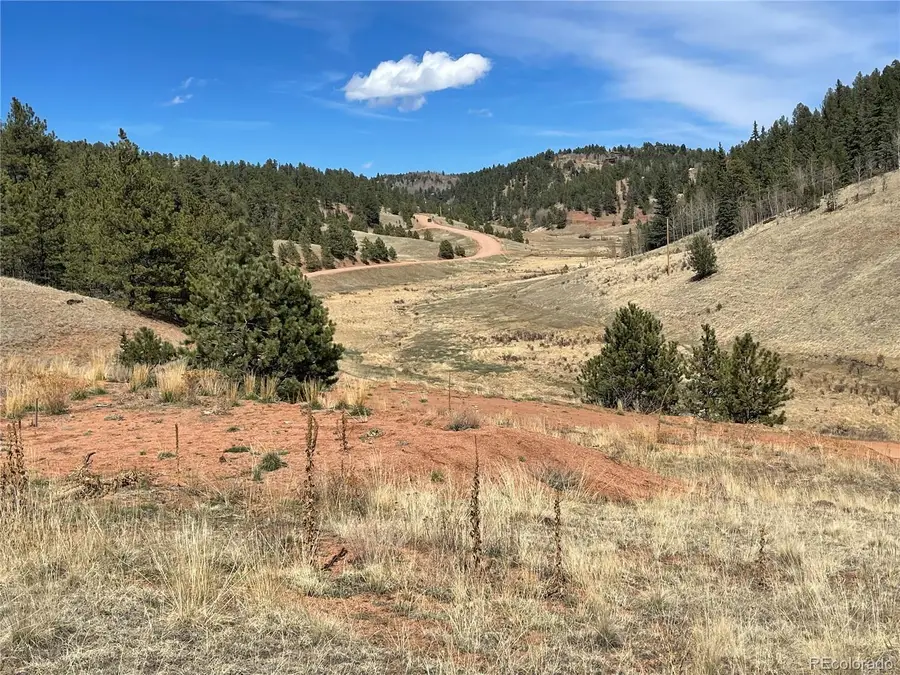 323 Gold King Drive, Cripple Creek, CO 80813 - #2