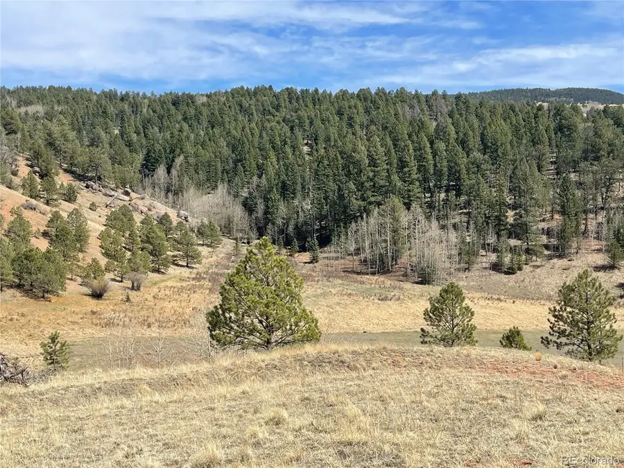 323 Gold King Drive, Cripple Creek, CO 80813 - #3