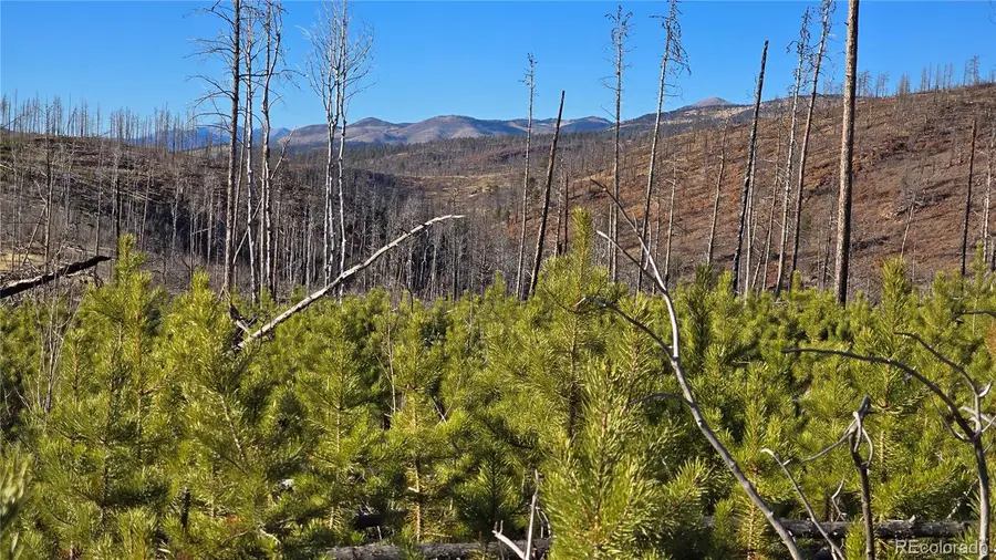 Lot 1505 Von Hyle Lane, Fort Garland, CO 81133 - Image #2