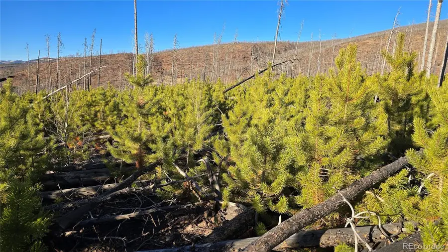 Lot 1505 Von Hyle Lane, Fort Garland, CO 81133 - Image #3