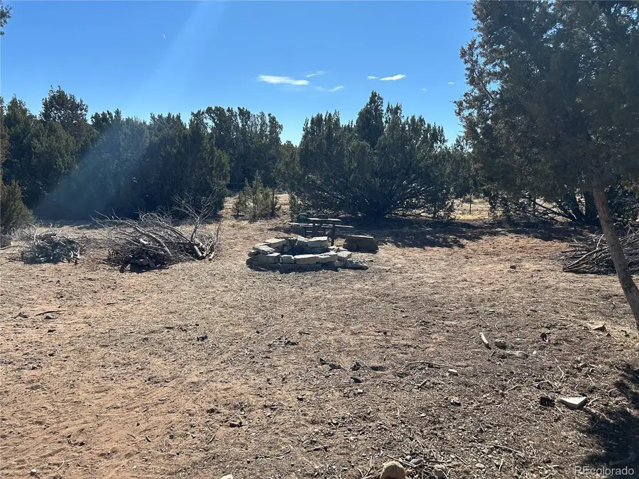 250 Mt Mestas Drive, Walsenburg, CO 81089 - #3