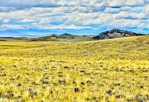 123 Chickamauga Trail, Hartsel, CO 80449 - #1