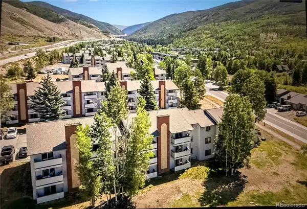 705 Straight Creek Drive #102, Dillon, CO 80435