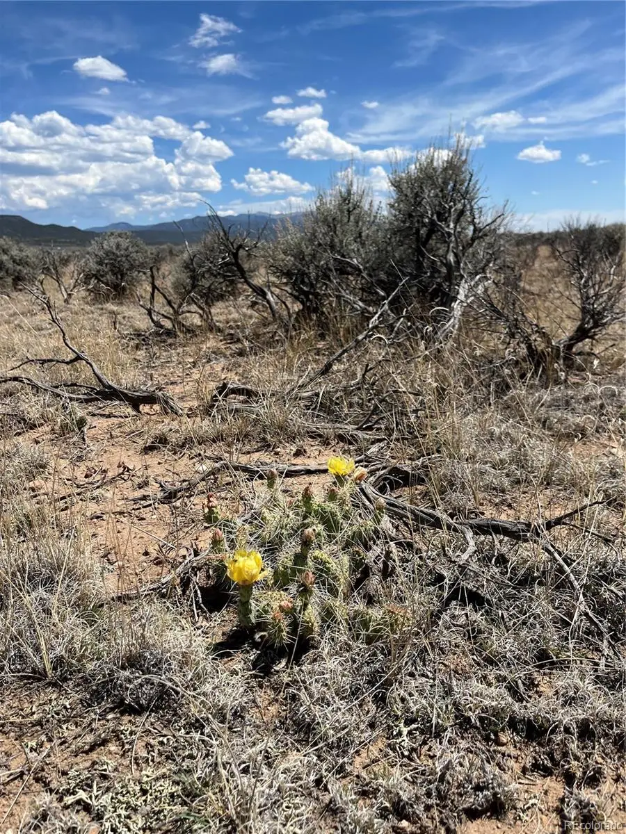 20 Acres Peacock Road, San Luis, CO 81152 - #3