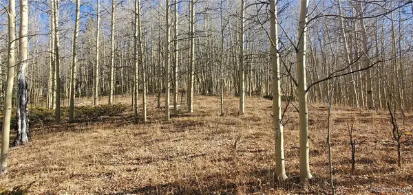 Lot's 6414 & 6415 Bronfman Road, Fort Garland, CO 81133