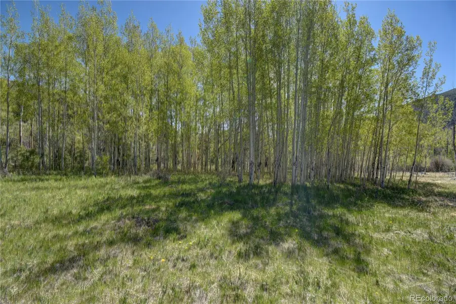 8525 County Road 225, Salida, CO 81201 - #3