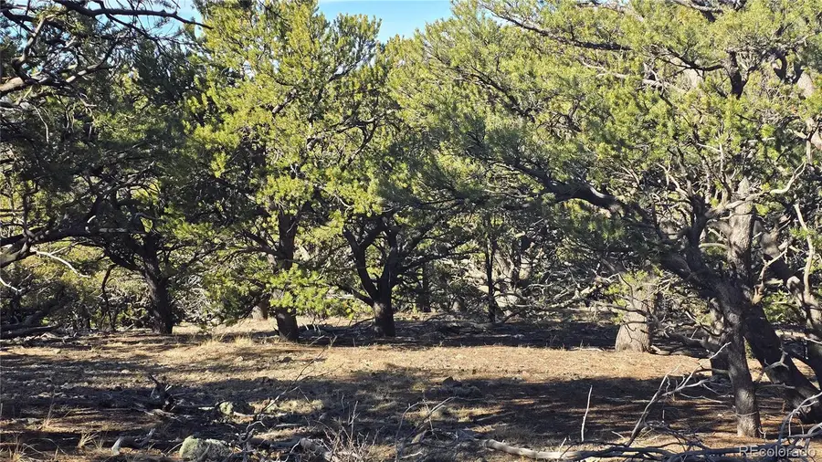 Lot 4510 Iannelli Road, Fort Garland, CO 81133 - #3