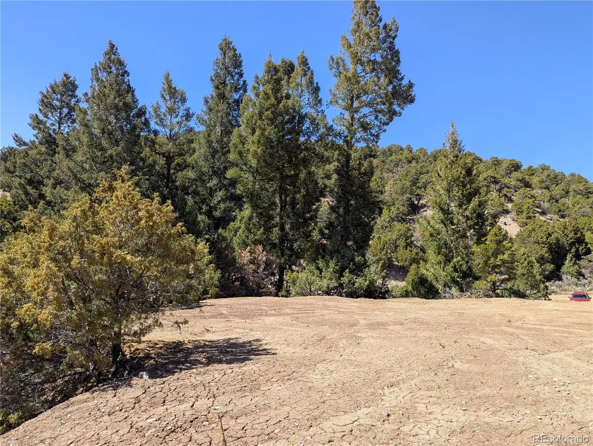 1593 Jaidi Road, Fort Garland, CO 81133 - #1