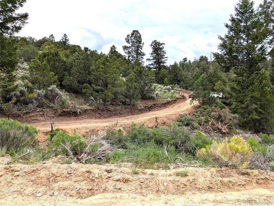 1593 Jaidi Road, Fort Garland, CO 81133 - #3