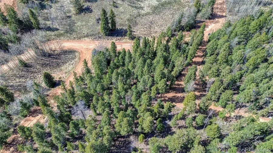 3075 N Mountain Estates Road, Florissant, CO 80816 - Image #3