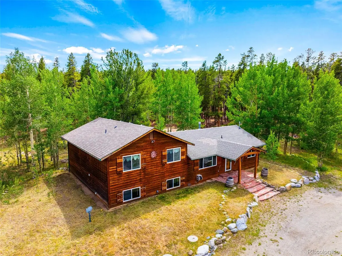 163 Meadow View Lane, Fairplay, CO 80440 - #1