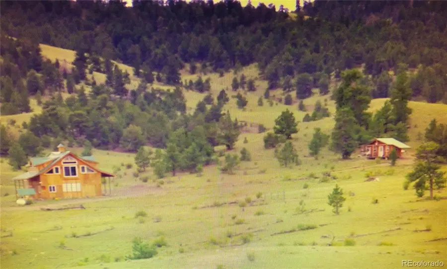 79 Quail Court, Hartsel, CO 80449 - #2