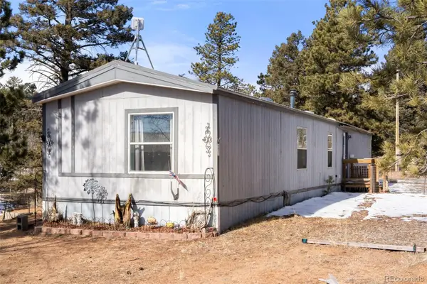 171 Star View Trail, Divide, CO 80814
