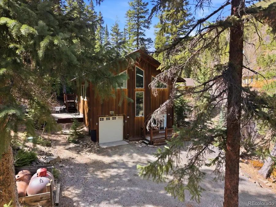 2547 Mill Creek Road, Idaho Springs, CO 80452 - #3